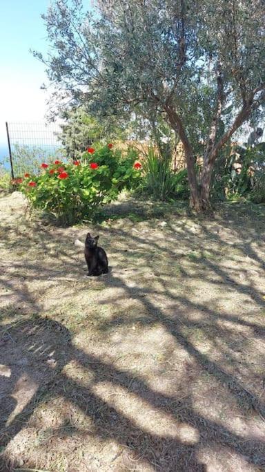 Girne, Lapta'Da Deniz Ve Dag Manzarali Buitenkant foto
