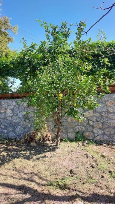 Girne, Lapta'Da Deniz Ve Dag Manzarali Buitenkant foto